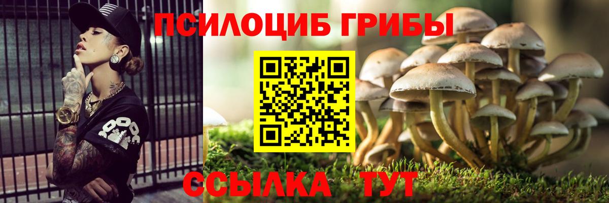 Галлюциногенные грибы Psilocybine cubensis Ачхой-Мартан